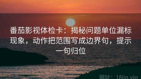 番茄影视体检卡：揭秘问题单位漏标现象，动作把范围写成边界句，提示一句归位