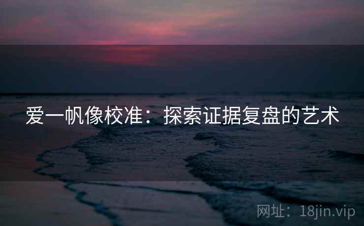 爱一帆像校准:探索证据复盘的艺术 爱一帆像校准:探索证据复盘的艺术